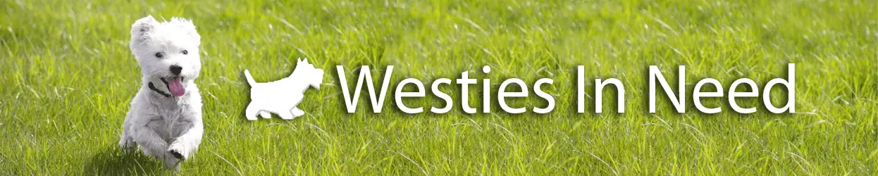 wesiesinneed-1